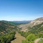 almohada_malaga