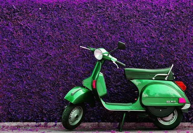 SCOOTER ZEN DESMONTABLE