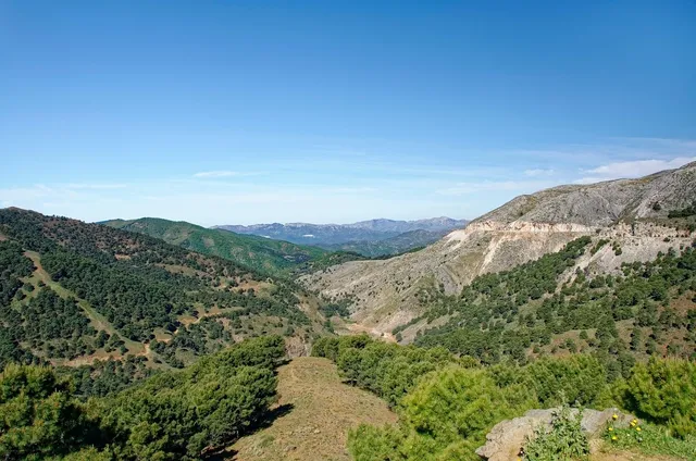 almohada_malaga
