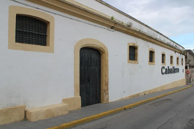 PLANTILLA SILONITEX CABALLERO/SEÑORA