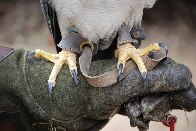 GUANTES VINILO SIN POLVO TALLAS